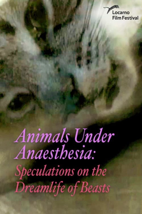 Постер: Animals Under Anaesthesia: Speculations on the Dreamlife of Beasts
