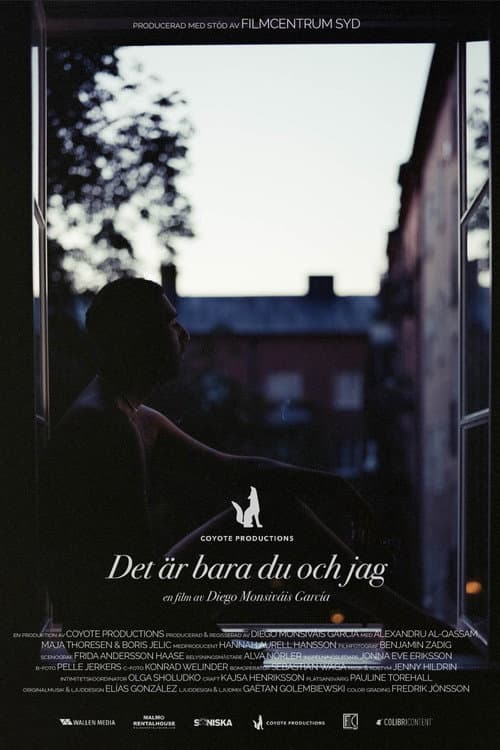 Постер: Det är bara du och jag