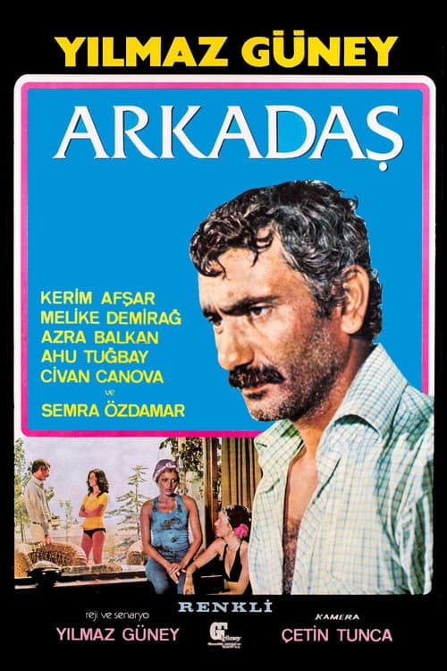 Постер: Arkadaş