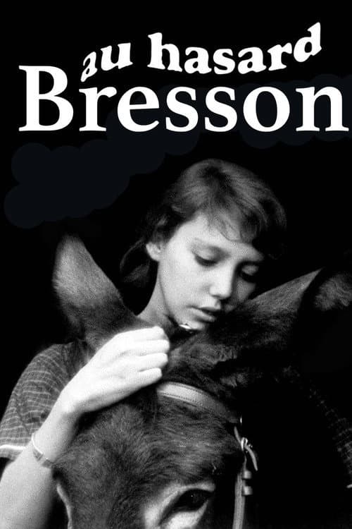 Постер: Zum Beispiel Bresson