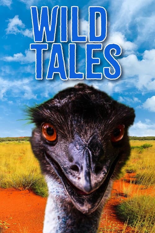 Постер: Wild Tales