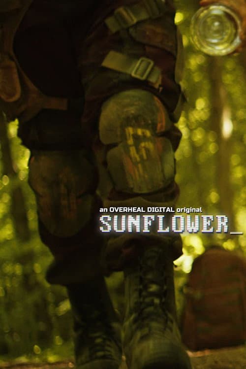Постер: Sunflower