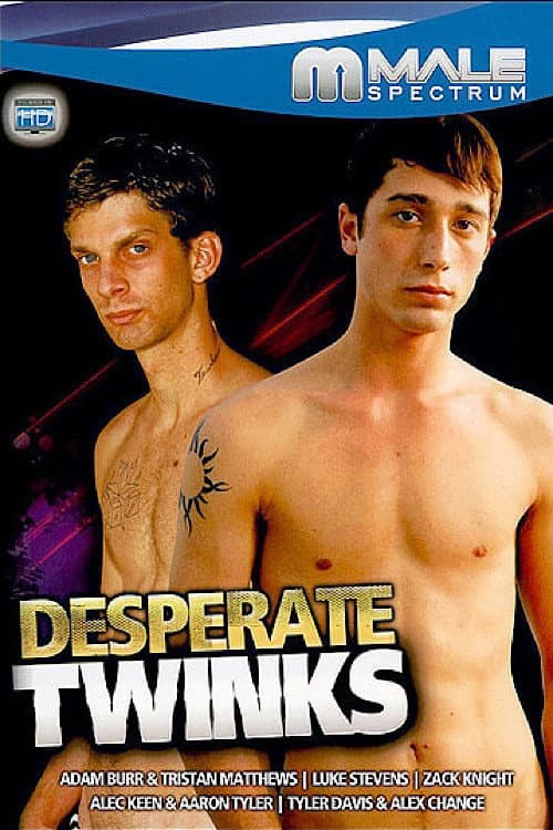 Постер: Desperate Twinks