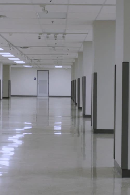 Постер: There is Nothing Underneath the West Virginia Wing