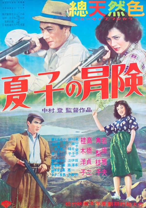 Постер: 夏子の冒険