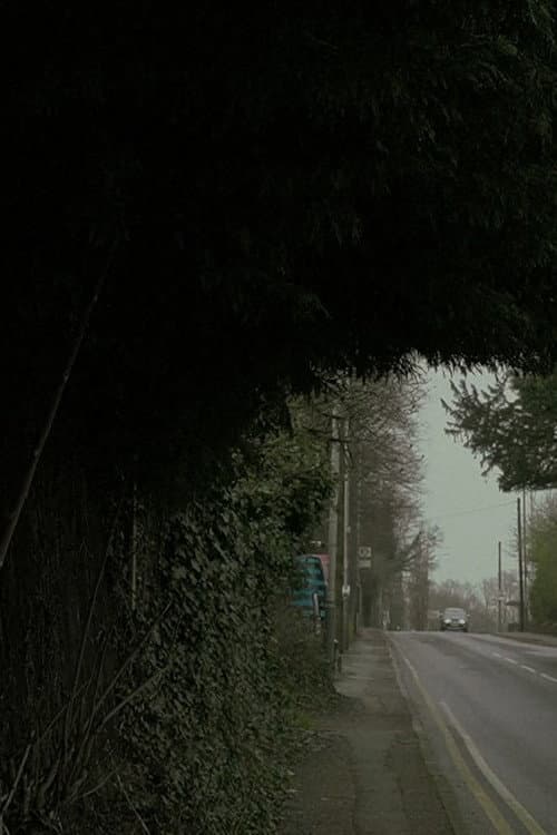 Постер: feeble attempts at flight