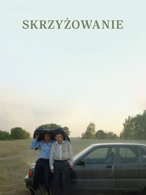 Постер: Skrzyżowanie
