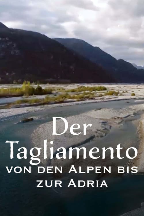Постер: Der Tagliamento – König der Alpenflüsse