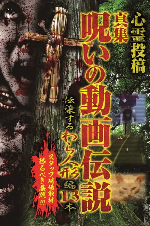 Постер: 心霊投稿 真集 呪いの動画伝説 伝染するわら人形編 13本