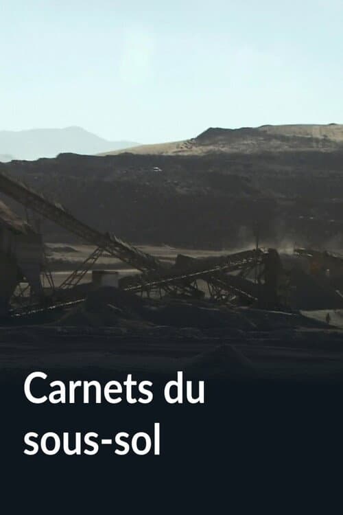 Постер: Carnets du sous-sol