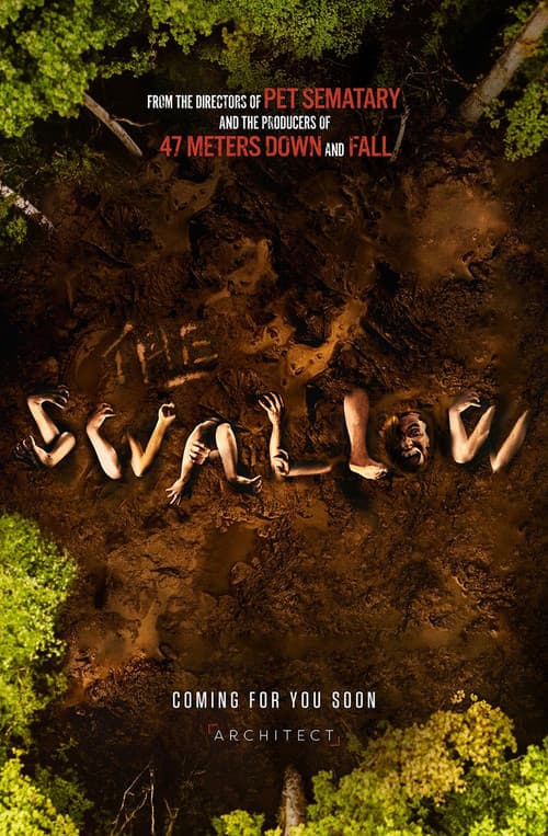 Постер: The Swallow