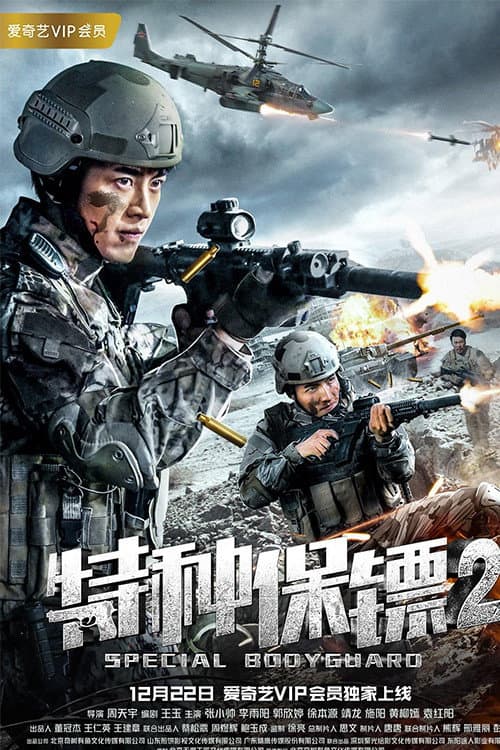 Постер: 特种保镖2