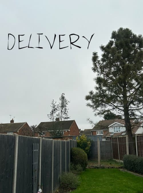 Постер: Delivery