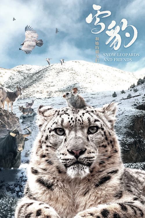 Постер: 雪豹和她的朋友们
