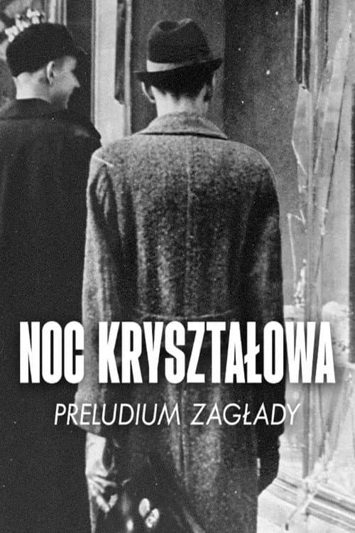 Постер: La nuit de cristal, les pogroms de novembre