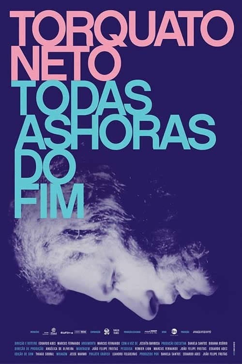 Постер: Torquato Neto - Todas as Horas do Fim