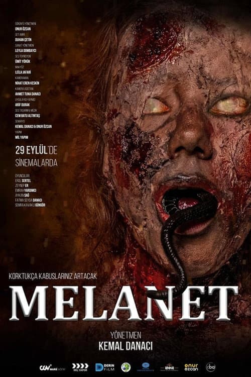 Постер: Melanet