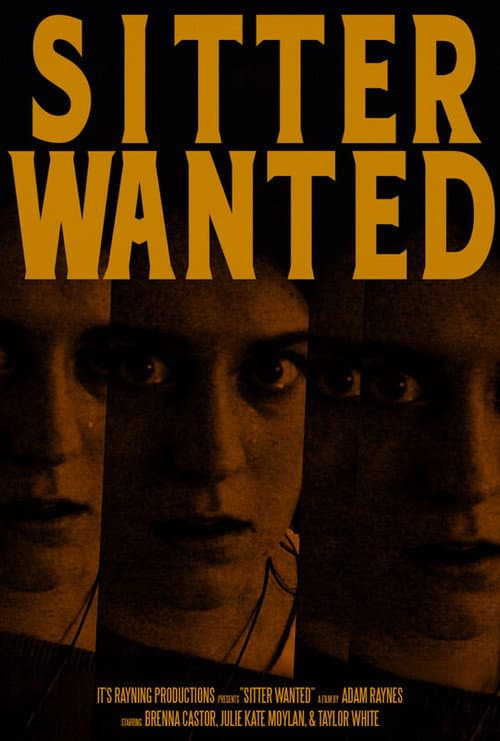 Постер: Sitter Wanted