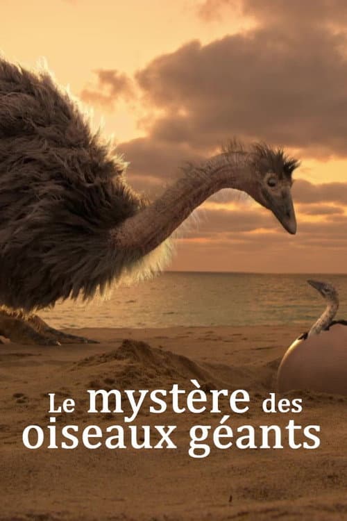 Постер: Le mystère des oiseaux géants