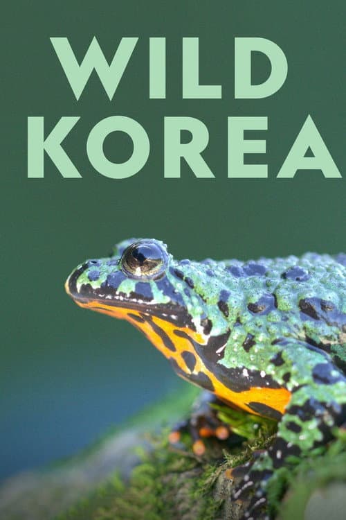 Постер: Wild Korea