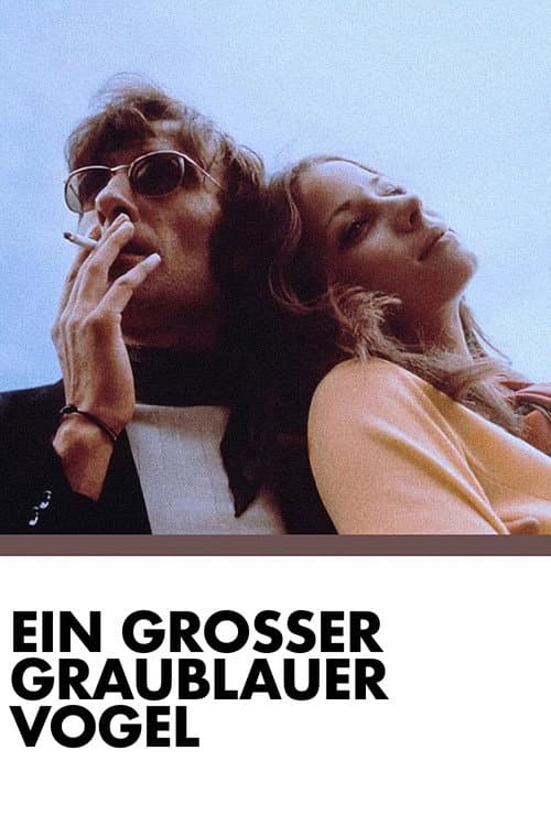 Постер: Ein großer graublauer Vogel