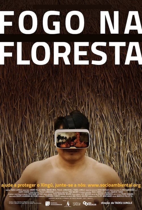 Постер: Fogo na Floresta