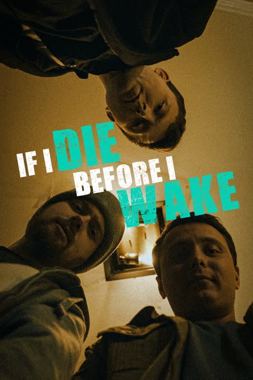 Постер: If I Die Before I Wake