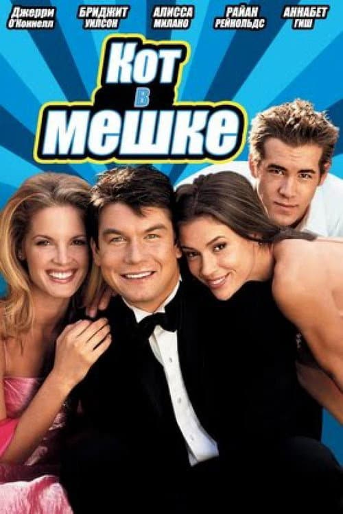 Постер: Кот в мешке