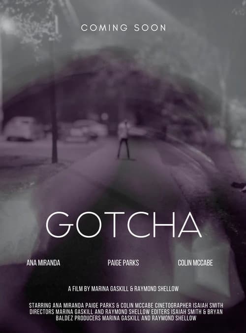 Постер: Gotcha