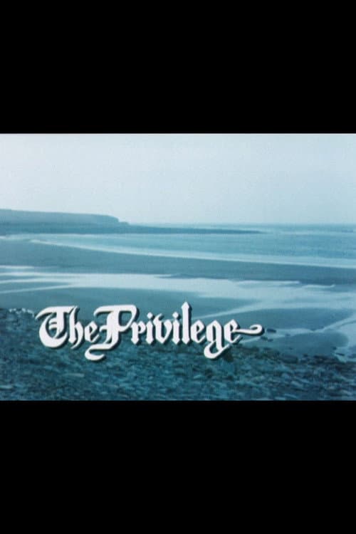 Постер: The Privilege