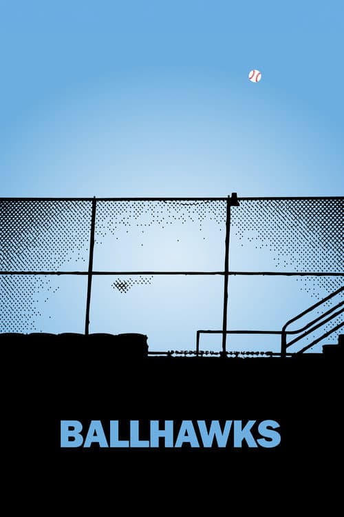 Постер: Ballhawks