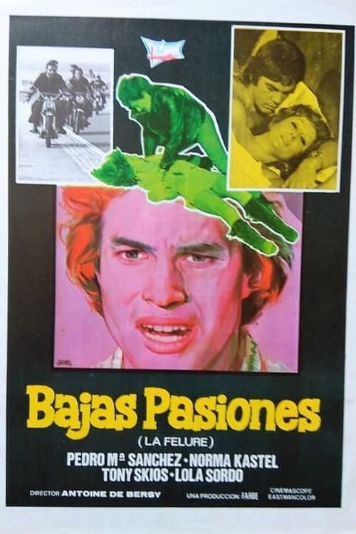 Постер: Bajas pasiones