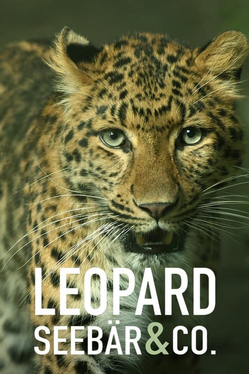 Постер: Leopard, Seebär & Co.