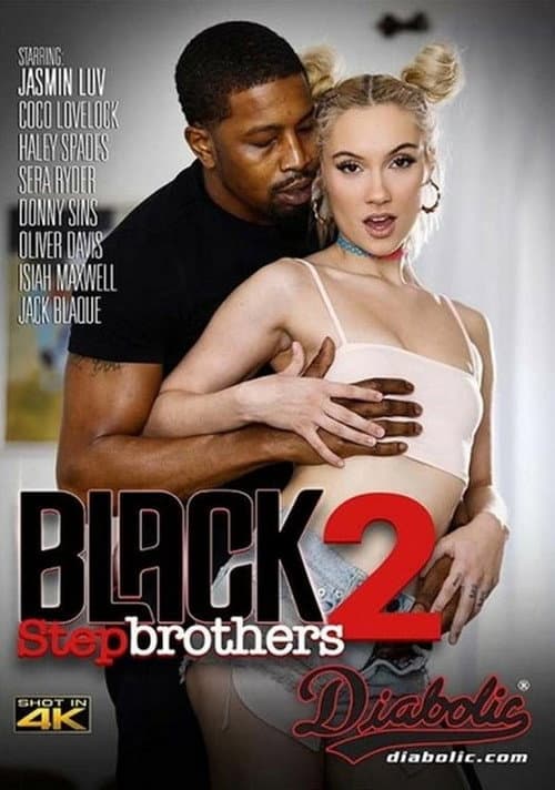 Постер: Black Stepbrothers 2