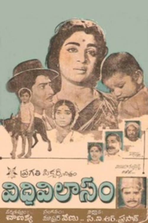 Постер: విధివిలాసం