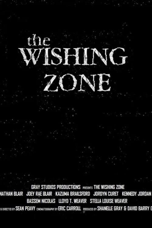 Постер: The Wishing Zone