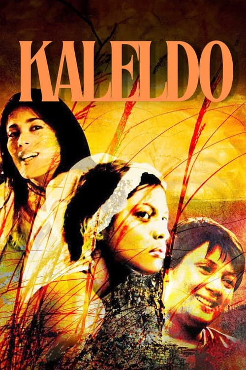 Постер: Kàleldo