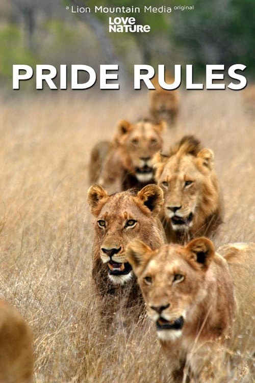 Постер: Pride Rules
