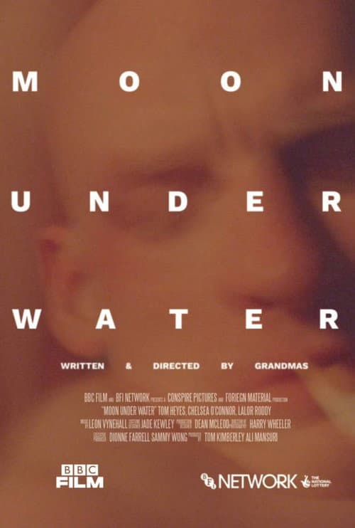 Постер: Moon Under Water