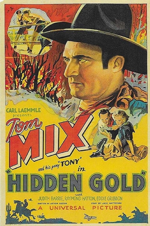 Постер: Hidden Gold
