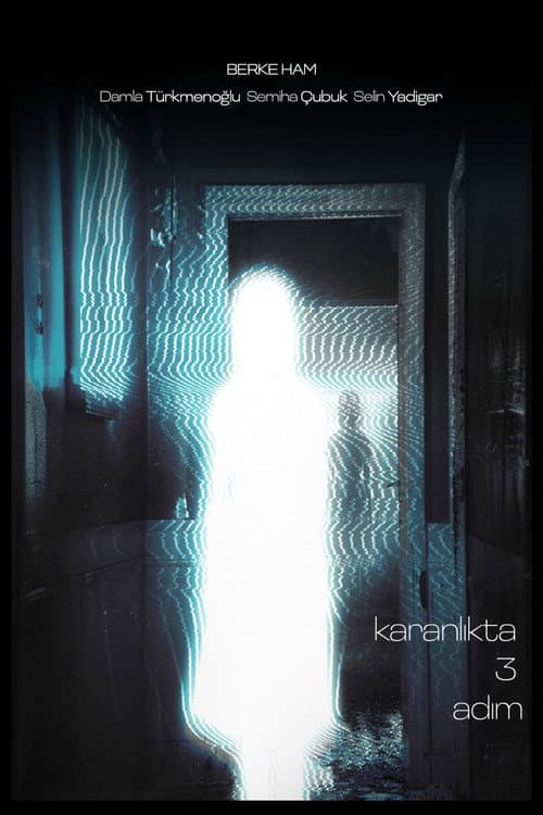Постер: Karanlıkta Üç Adım