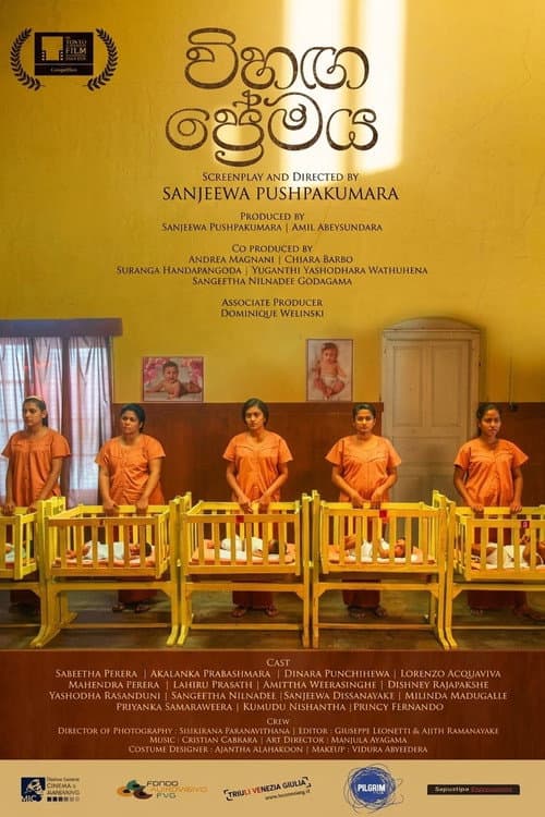 Постер: විහඟ ප්රේමය
