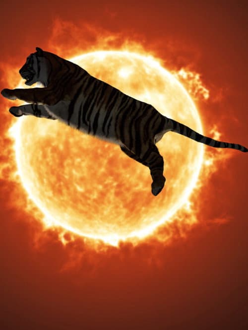 Постер: One or Several Tigers