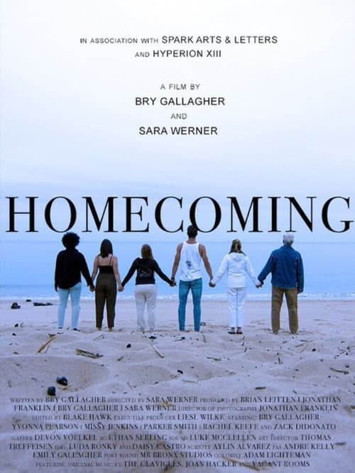 Постер: Homecoming