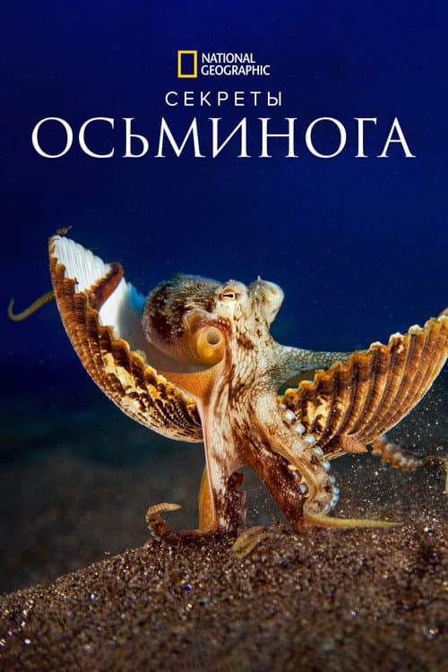 Постер: Секреты осьминога