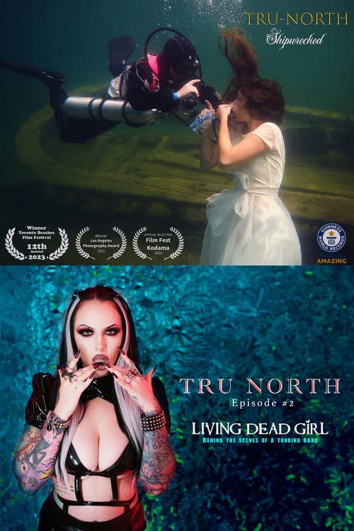 Постер: Tru North