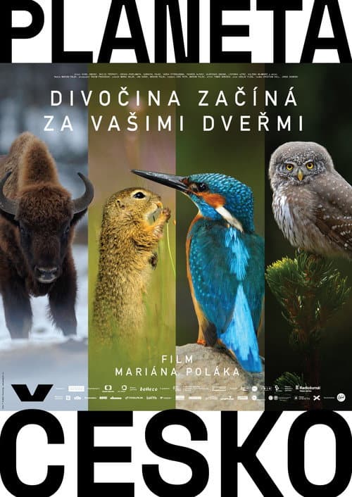 Постер: Planeta Česko