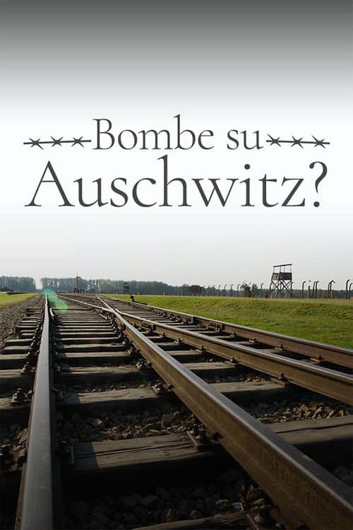 Постер: Bombe su Auschwitz?