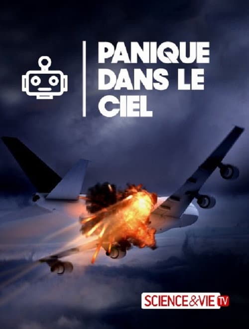 Постер: Planes Gone Viral