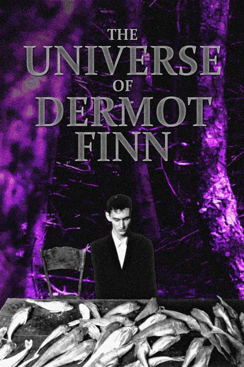 Постер: The Universe of Dermot Finn